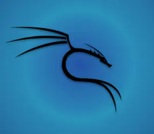 Upgrade to an intelligent reverse shell