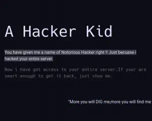 Hacker Kid Walkthrough - Vulnhub